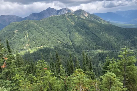 Mount Fernie Provincial Park