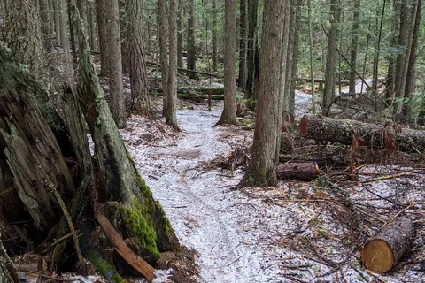 Mount Fernie Provincial Park