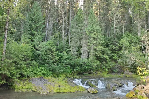 Mount Fernie Provincial Park