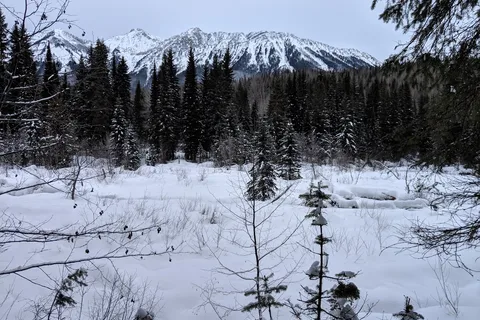 Mount Fernie Provincial Park