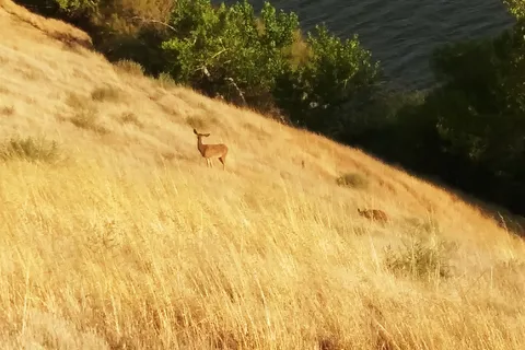 Los Banos Creek Reservoir