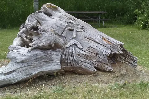 Rocky Point - Alder Lake Park - Tacoma Power