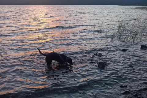 Lake Mary Ronan State Park Campground
