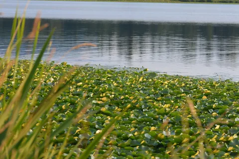 Henleys Silver Lake Resort Campground