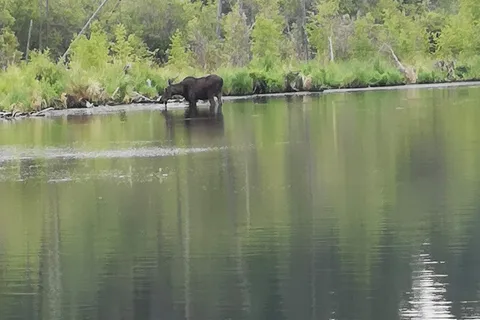 Cross Lake - Cross Lake Provincial Park