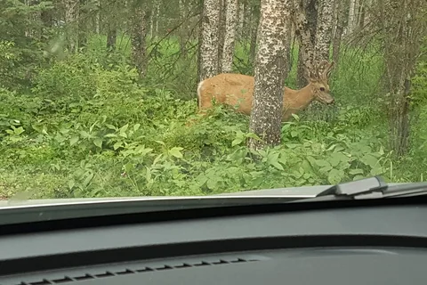Cross Lake - Cross Lake Provincial Park