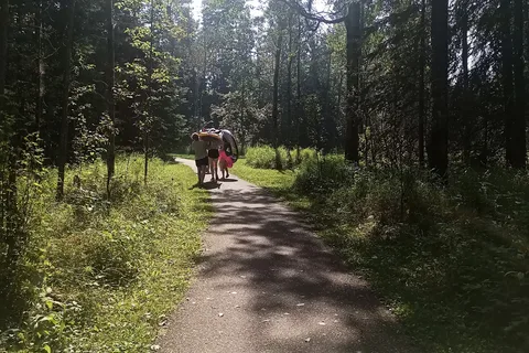 Cross Lake - Cross Lake Provincial Park