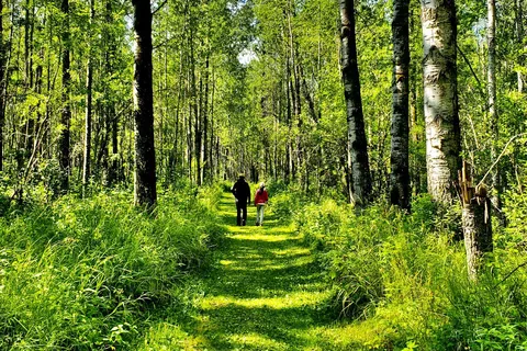 Cross Lake - Cross Lake Provincial Park