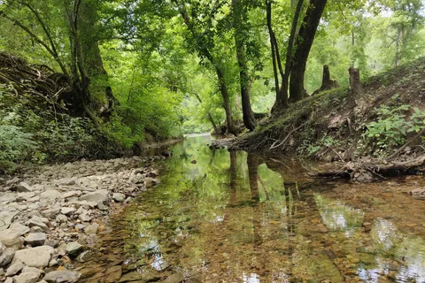 Spring River Oak Campground