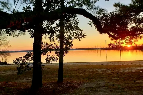 Palmetto Shores RV Resort