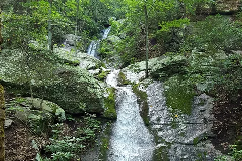 White Oak - Douthat State Park
