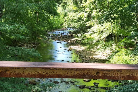 White Oak - Douthat State Park