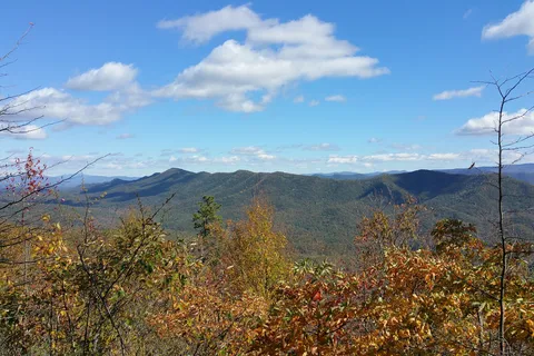 White Oak - Douthat State Park