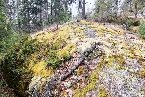 Black Lake - Nopiming Provincial Park