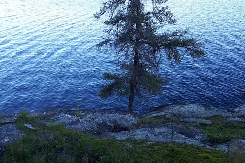 Black Lake - Nopiming Provincial Park