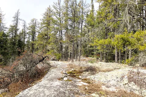 Black Lake - Nopiming Provincial Park