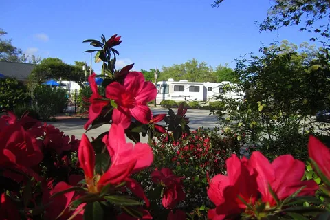 Majestic Oaks RV Resort