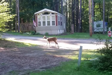 Oakland Valley Campground
