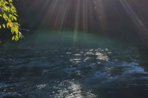 Oakland Valley Campground