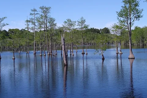 George L Smith State Park