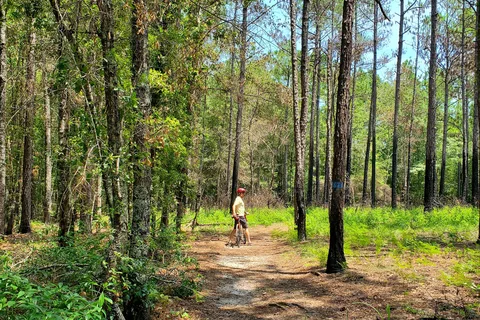 George L Smith State Park