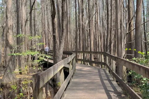 George L Smith State Park
