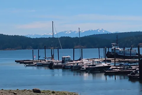 Sunny Shores Resort and Marina Ltd