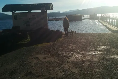 Sunny Shores Resort and Marina Ltd