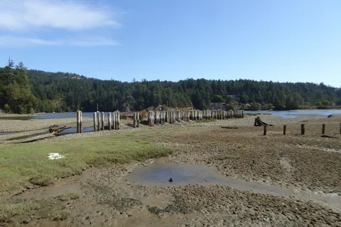 Sunny Shores Resort and Marina Ltd