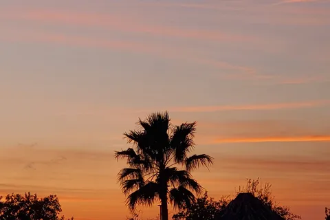 Gulf Shores RV Park and Resort