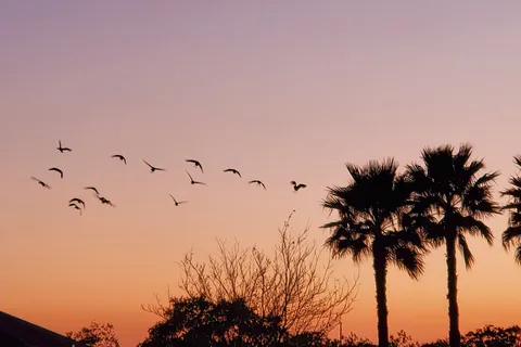 Gulf Shores RV Park and Resort