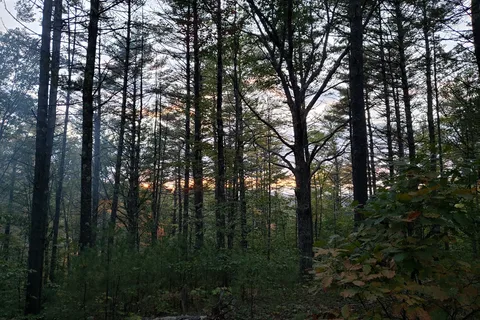 Greenfield State Park Campground