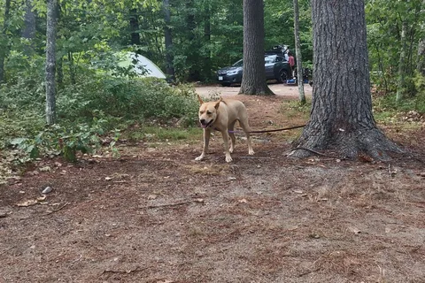 Greenfield State Park Campground
