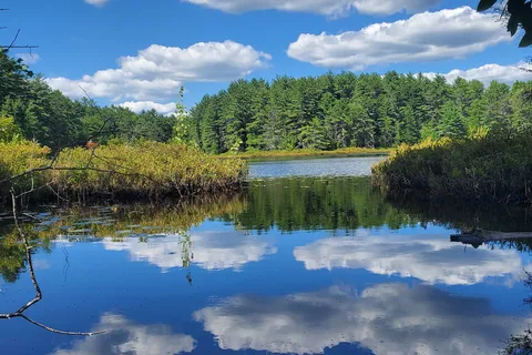 Greenfield State Park Campground