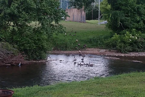 Riverbend Campground