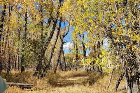 Okotoks Lions Sheep River Campground