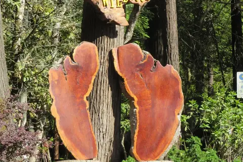 Wildwood Campground and RV Park