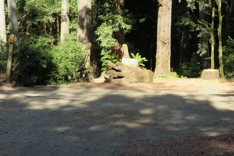 Wildwood Campground and RV Park