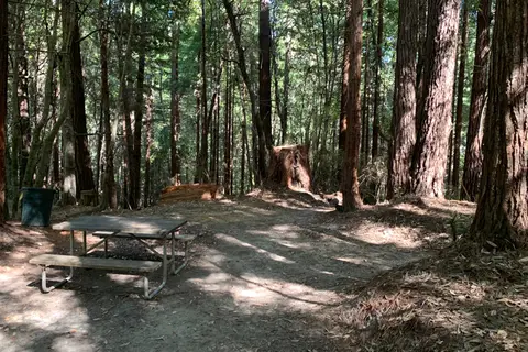 Wildwood Campground and RV Park
