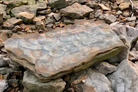 Campground 1 - Clinton State Park
