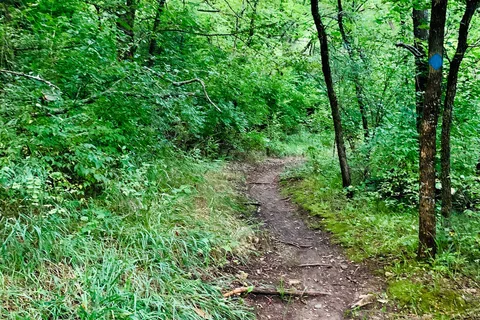 Campground 1 - Clinton State Park