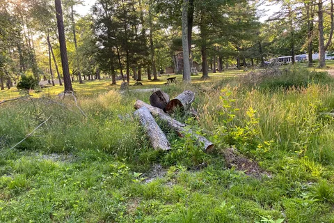Buena Vista Camping Park
