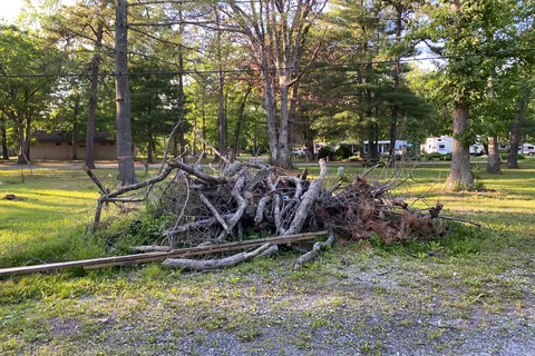 Buena Vista Camping Park