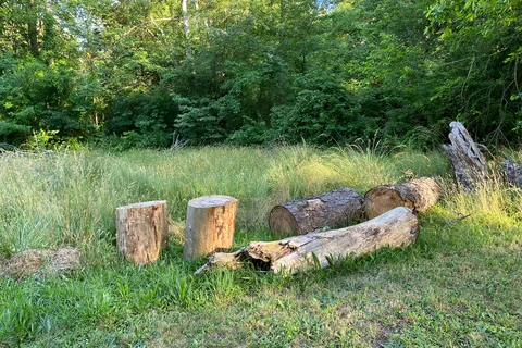 Buena Vista Camping Park