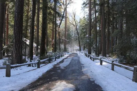 Willow Springs Resort