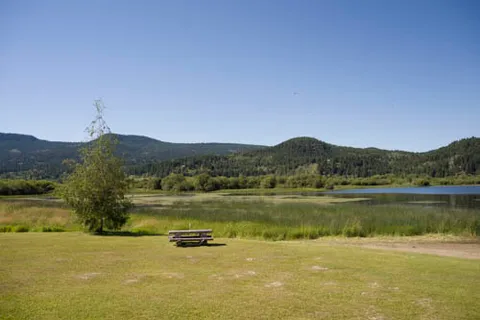 Canim Lake Resort