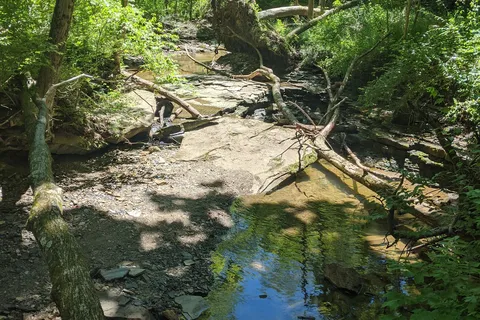 AW Marion State Park