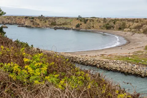 Harbor RV Park
