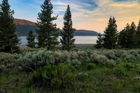 Bowery Haven Resort and RV Park