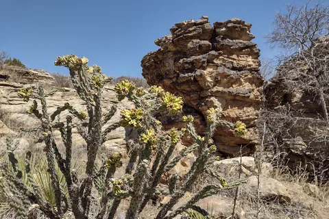 Black Mesa State Park and Nature Preserve